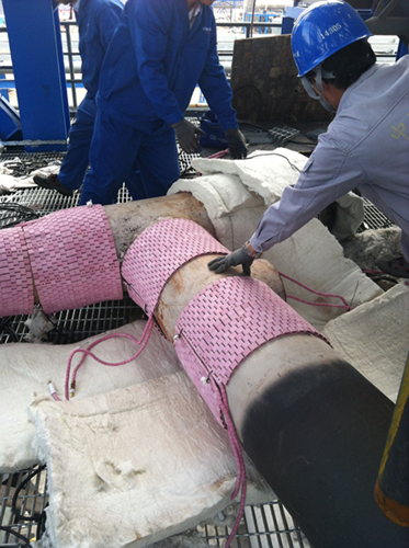 �c���鿴��